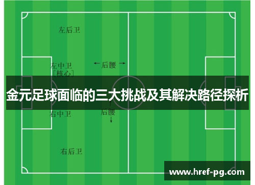 金元足球面临的三大挑战及其解决路径探析